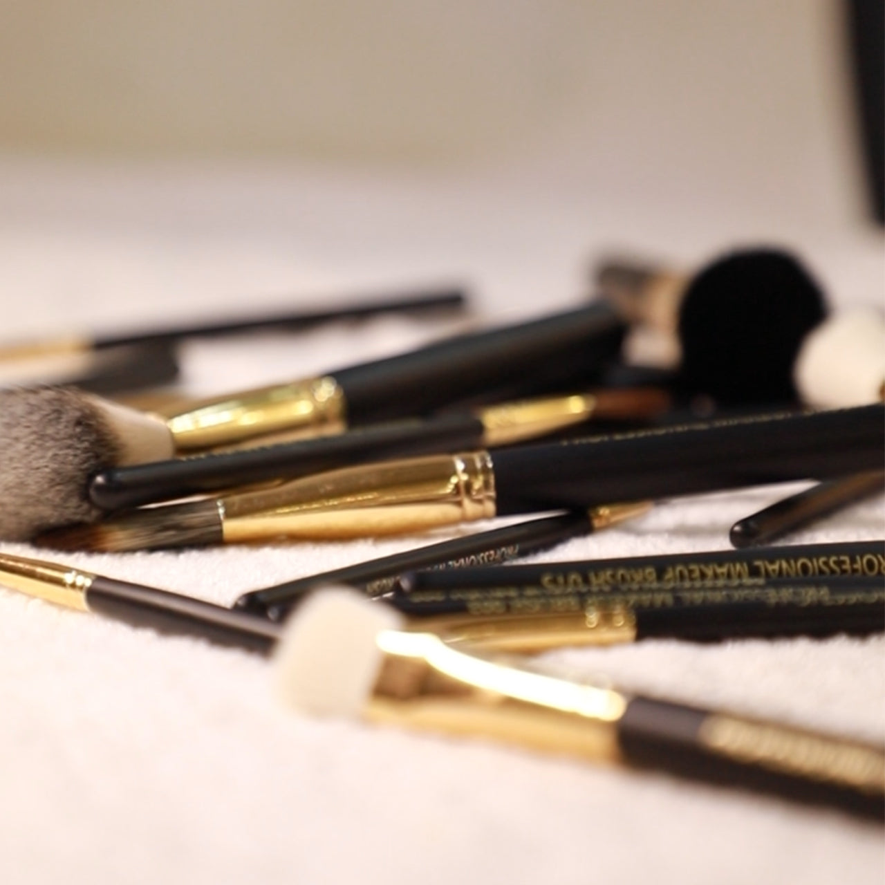 Professional Makeup Brushes