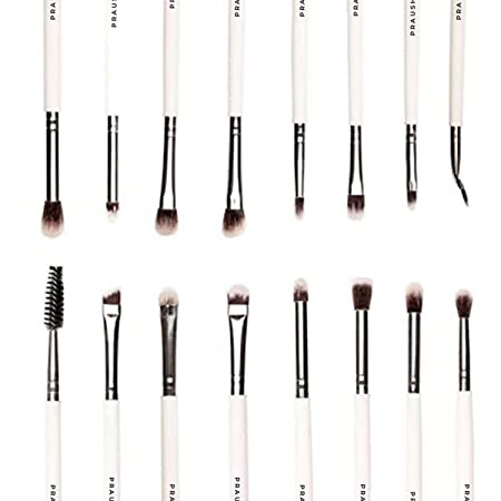 Praush Brush Set of 16 Brushes